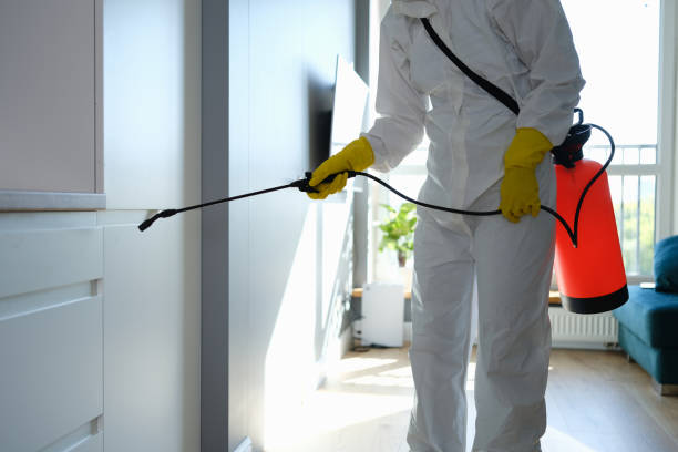 Best Office Mold Removal Services  in Albemarle, NC